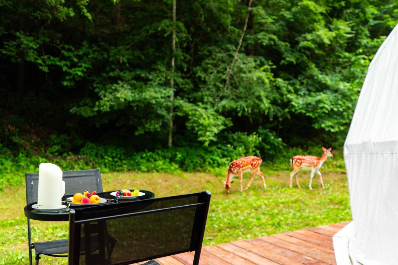 Solace Glamping 2 Сивиървил Екстериор снимка